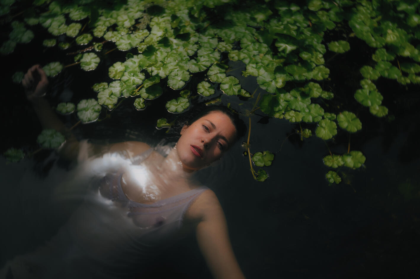 Untitled Untitled